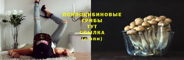 метадон Инсар