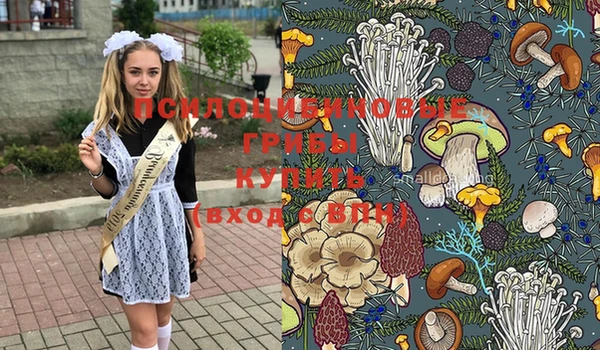 СК Иннополис